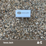 Iowa Jack