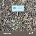 Pink Blush