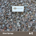 Silver Springs
